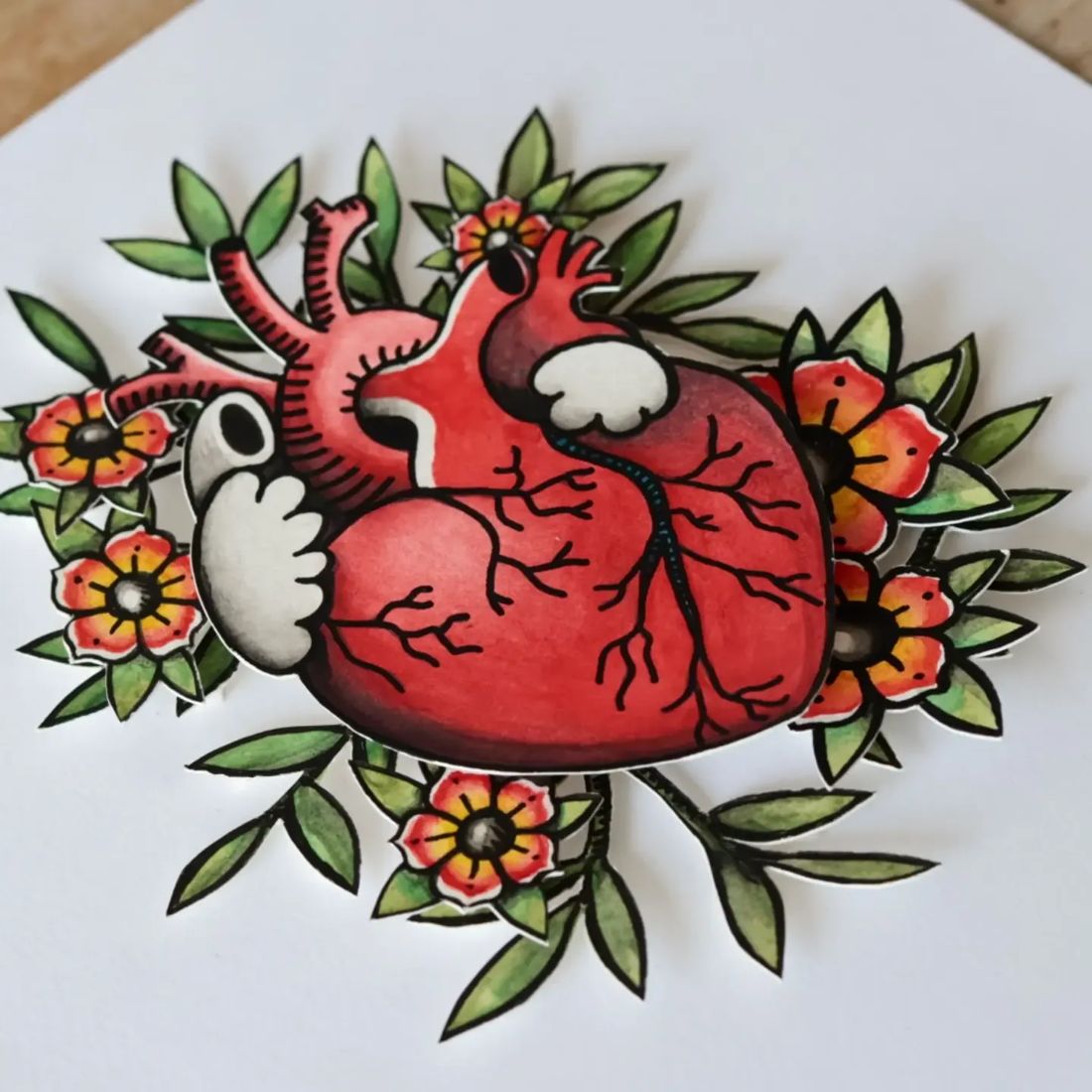 Cœur anatomique en papier découpé